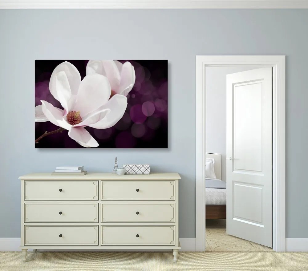 Quadro su tela – Fiore di magnolia su sfondo astratto