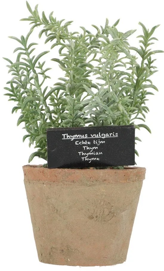 Pianta artificiale (altezza 21,5 cm) Thyme - Esschert Design