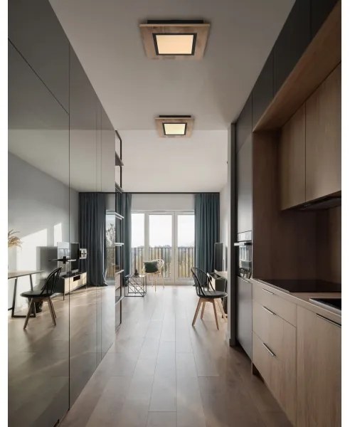 Globo 67292D2 - Plafoniera LED LEA LED/12W/230V