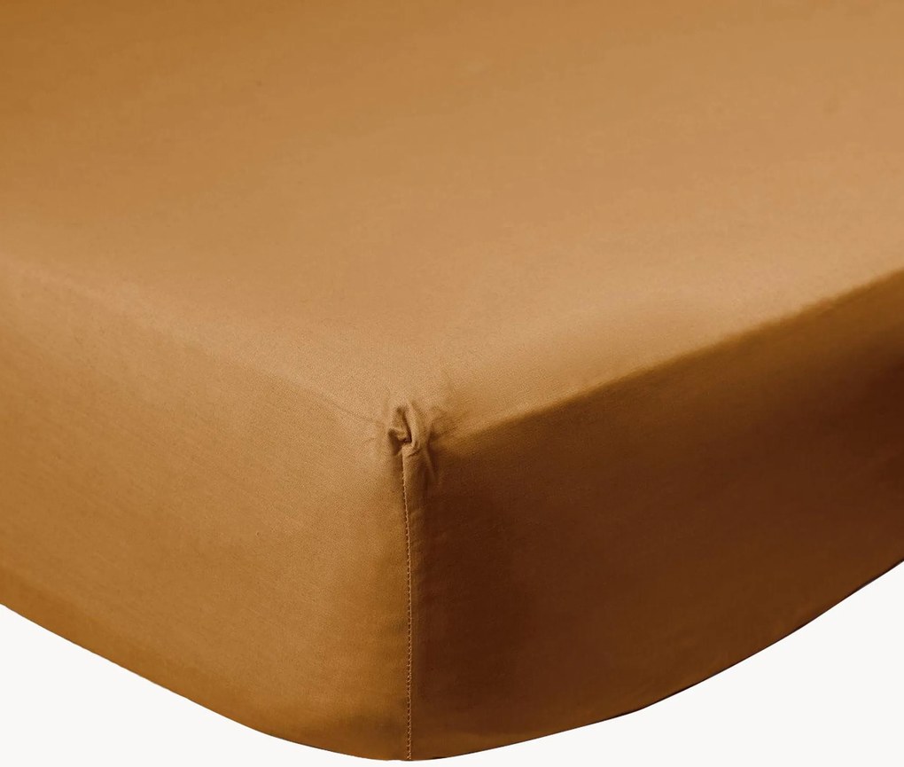 Lenzuolo con angoli boxspring in percalle di cotone Caramel