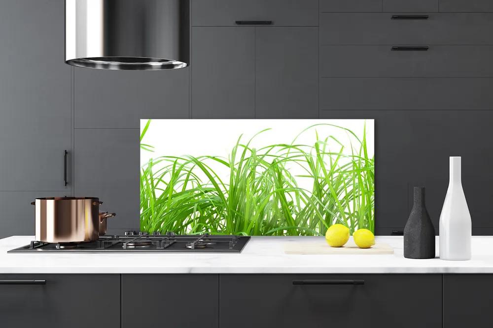 Pannello cucina paraschizzi Erba, piante, natura 100x50 cm