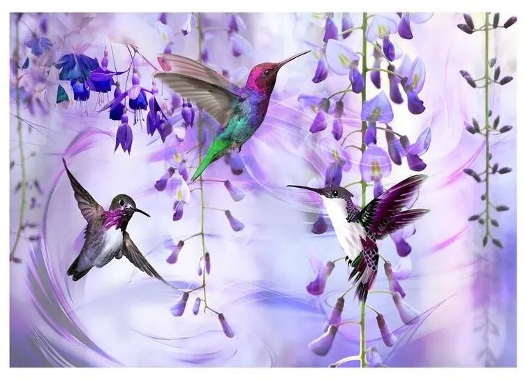 Fotomurale adesivo  Flying Hummingbirds (Violet)  Larghezza x Altezza Home decor 196x140