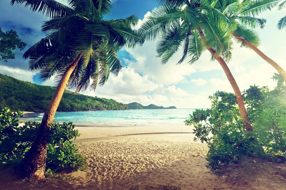 Carta da parati autoadesiva – Tramonto sull'isola di Seychelles