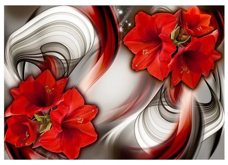 Fotomurale  Amaryllis  Ballad of the Red  Colore bianco e nero, Dimensioni e Misure 200x140