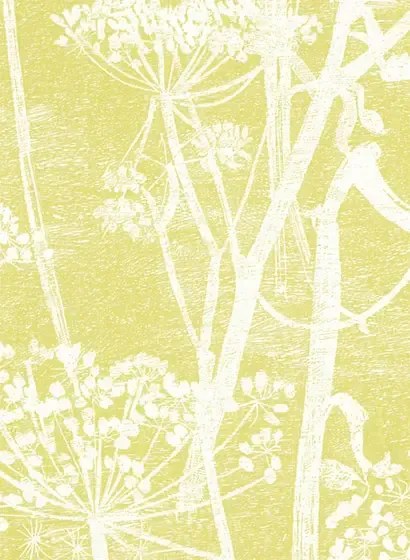 Cole & Son Carta da parati Cow Parsley - Gelb/ Offwhite