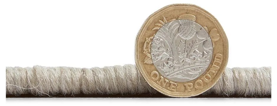 Tappeto beige per esterni 220x160 cm Coast - Think Rugs