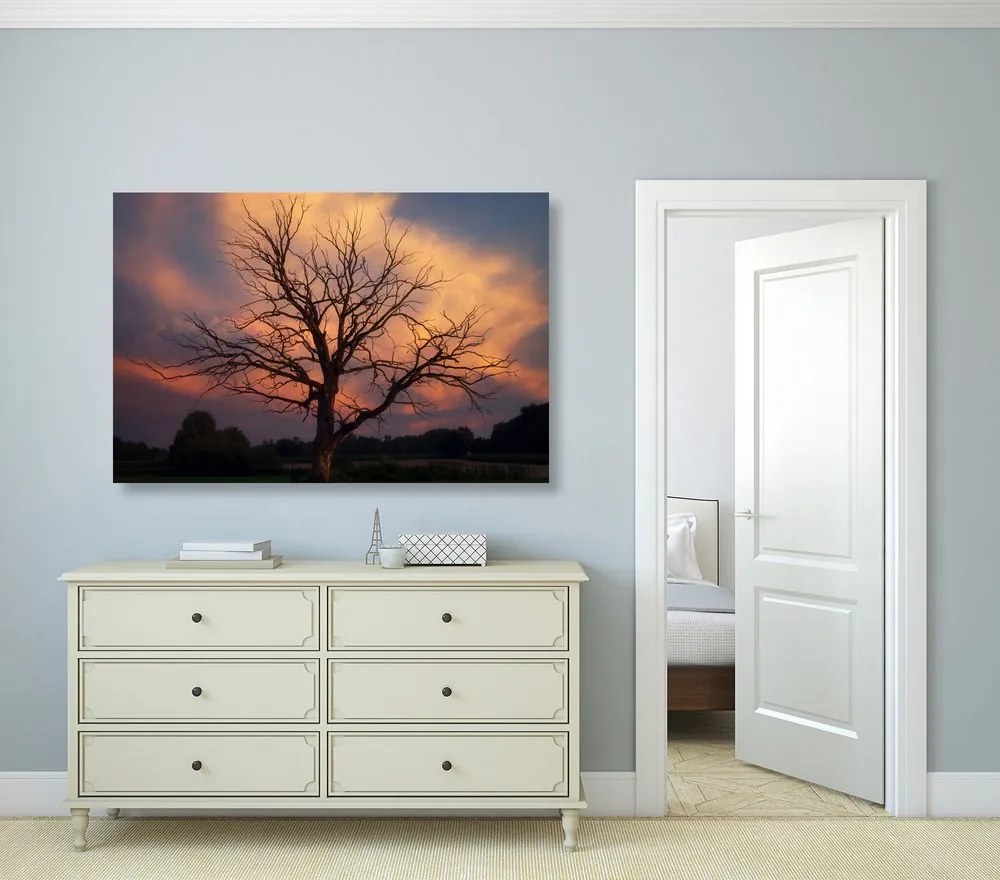 Stampa su tela – Splendido albero sul prato