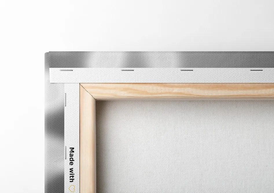 Quadro su tela – Fiori da giardino in bianco e nero