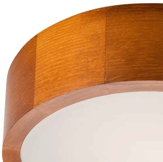 Lampada da soffitto 1xE27/60W/230V