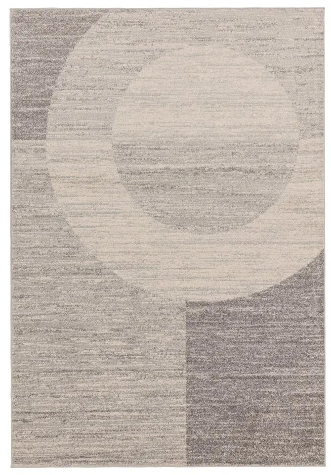 Tappeto grigio-beige 150x80 cm Muse - Asiatic Carpets