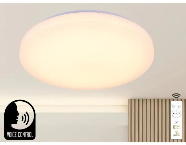 Plafoniera LED dimmerabile con controllo vocale OPAL LED/48W/230V + +TC