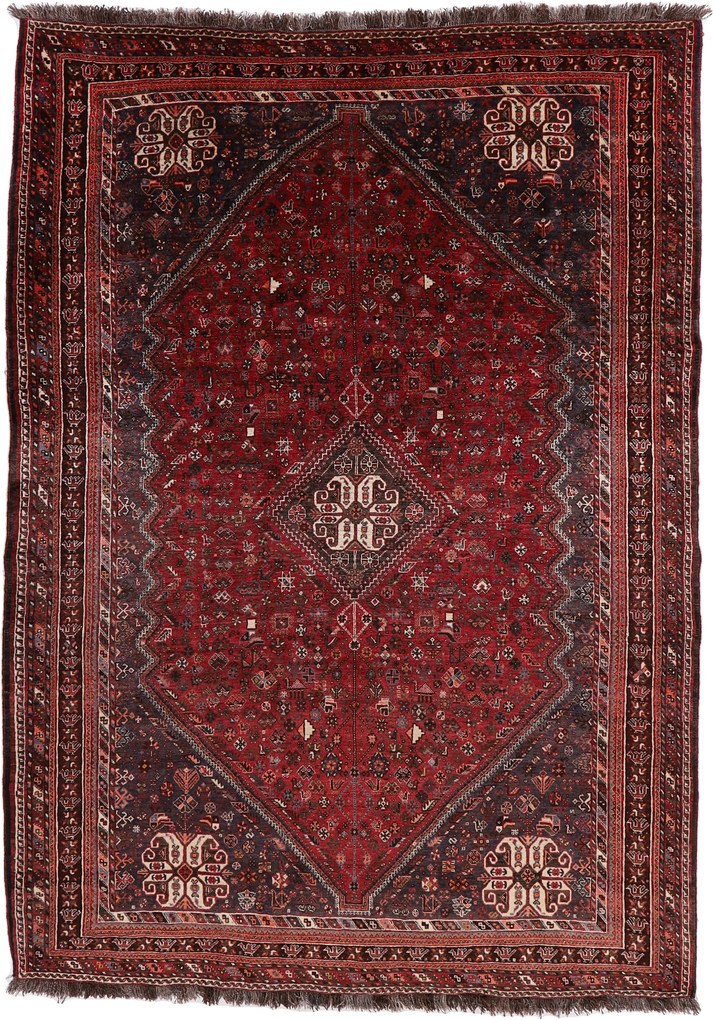 Shiraz Tappeto 220 x 310 (Iran) Annodato A Mano