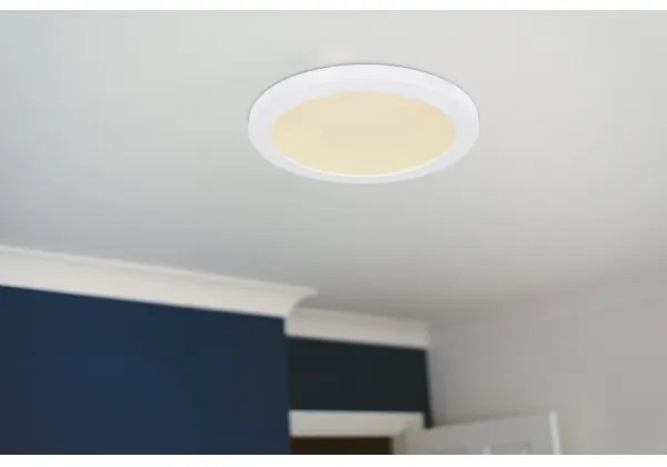 Globo 12379-24W - Plafoniera LED LASSE LED/24W/230V