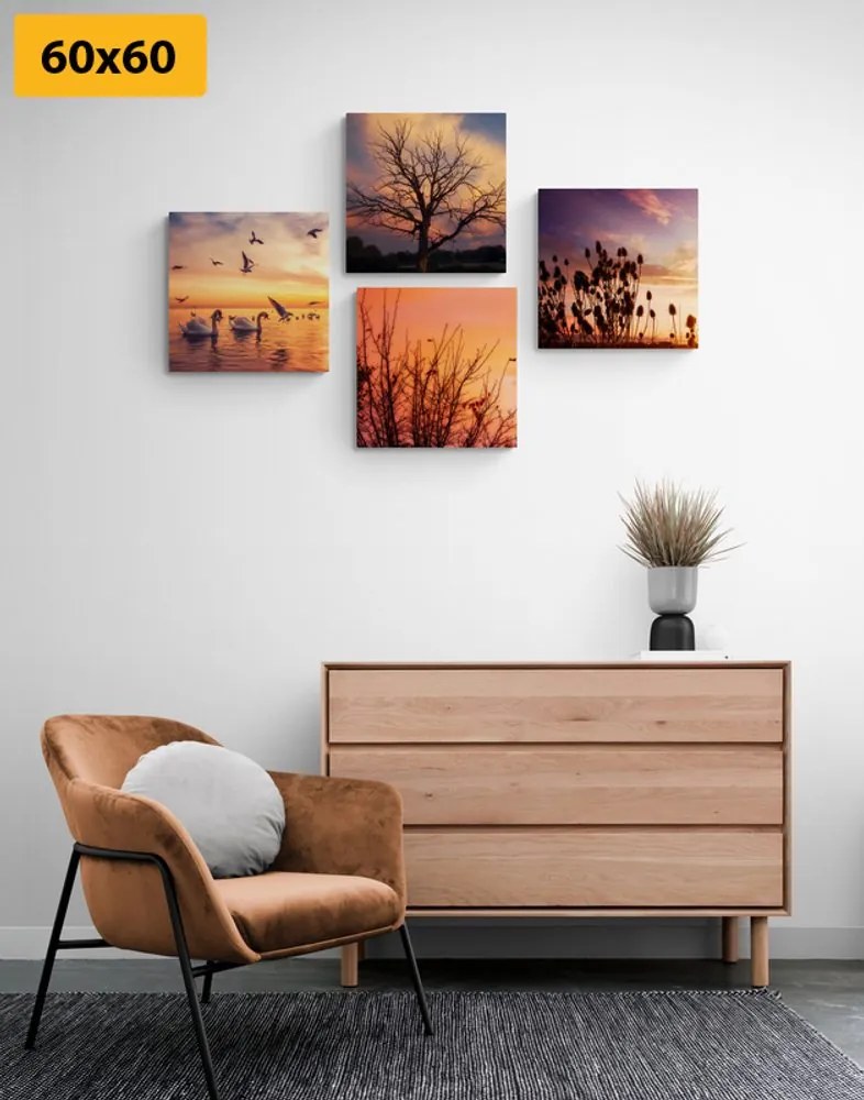 Set di quadri – Natura affascinante