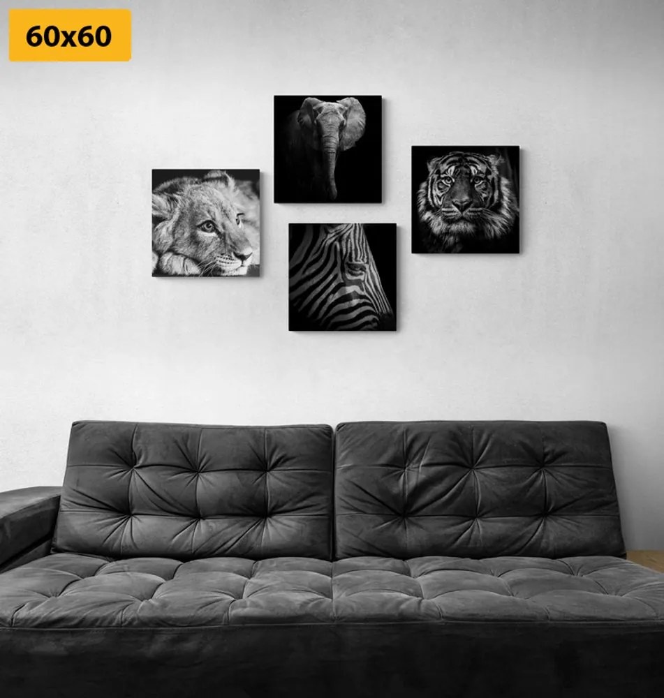 Set di quadri – Animali selvatici in bianco e nero