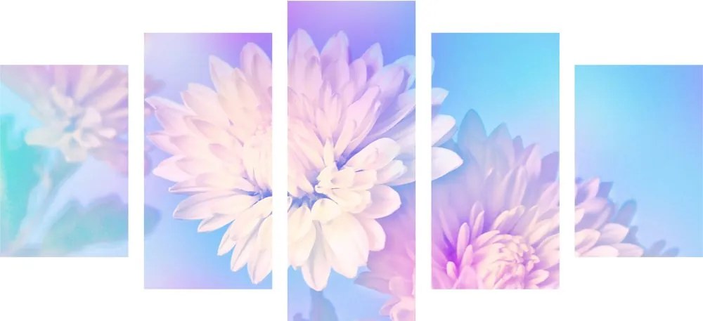 Quadri 5 pezzi – Fiore di crisantemo