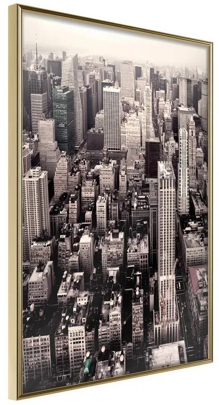 Poster  New York from a Bird's Eye View  Cornice Quadri Cornice d'oro, Larghezza x Altezza Home decor 30x45