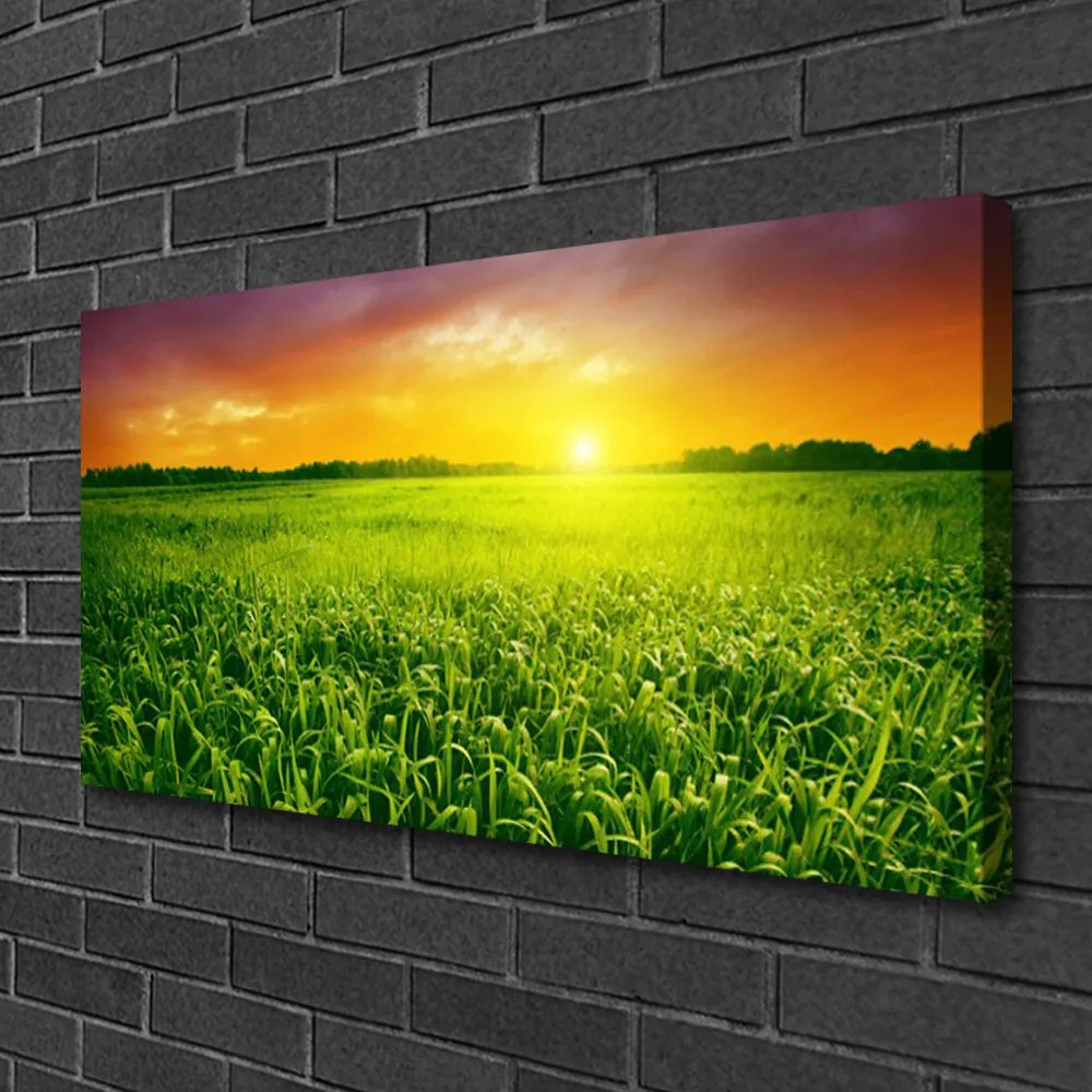 Quadro su tela Alba del campo di cereali 100x50 cm