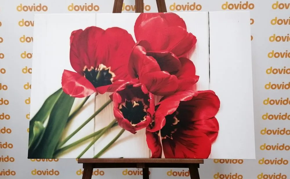 Quadro su tela – Tulipani rossi fioriti