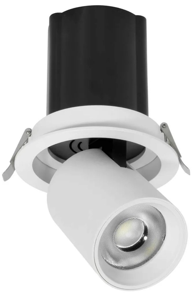 Faro LED da Incasso 30W Orientabile CCT Foro Ø120mm 60° Bridgelux LED Colore Bianco Variabile CCT