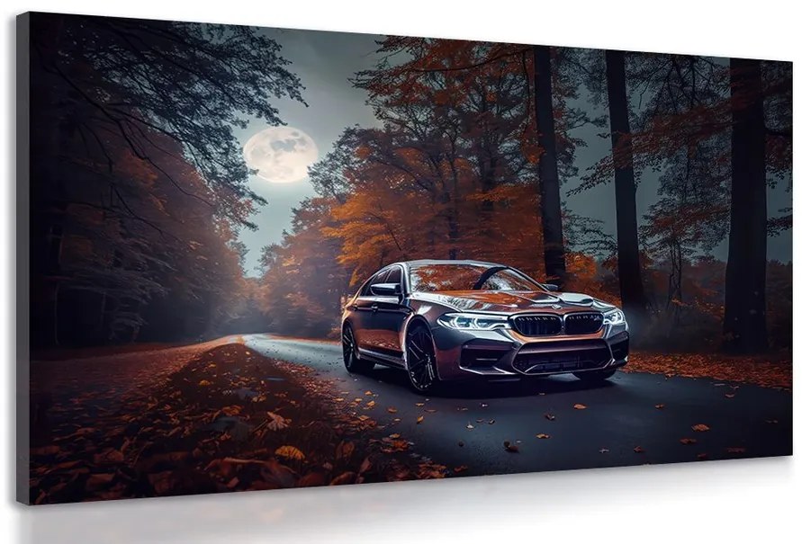 Stampa su tela – BMW al chiaro di luna