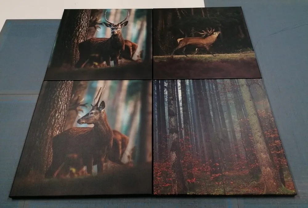 Set di quadri – Incanto degli animali del bosco