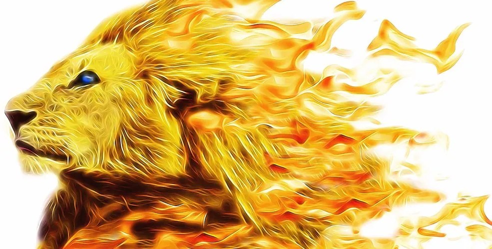 Quadro su tela – Leone infuocato