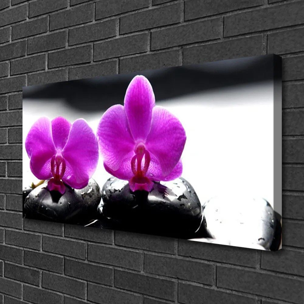 Quadro su tela Fiori di orchidea della natura 100x50 cm