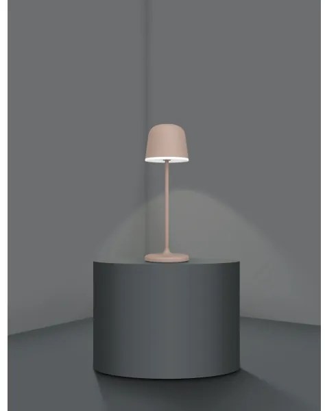 Eglo 900459 -Lampada LED dimmerabile da esterno MANNERA 2,2W/5V 1800mAh marrone IP54