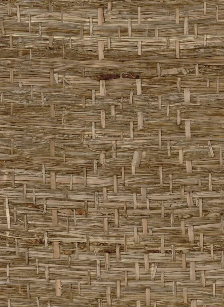 CMO Paris Tapete Abaca Herbacé - Pierre