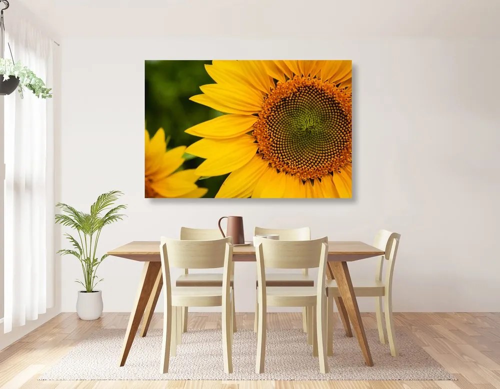 Stampa su tela – Girasole giallo