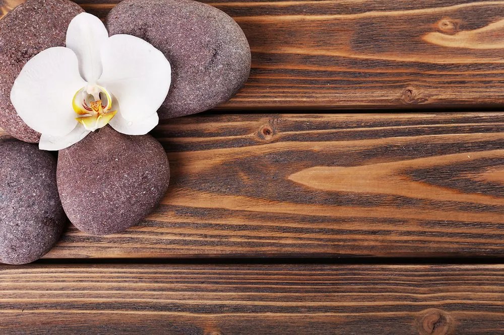 Carta da parati autoadesiva – Pietre wellness su legno