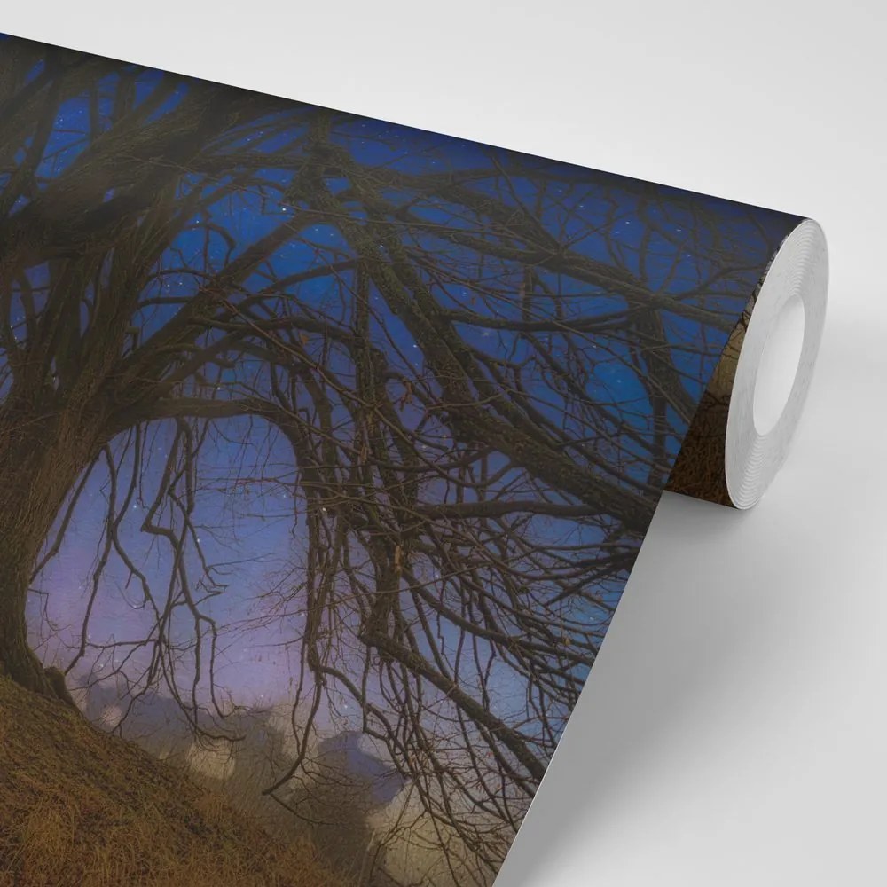 Carta da parati – Alberi nel paesaggio notturno