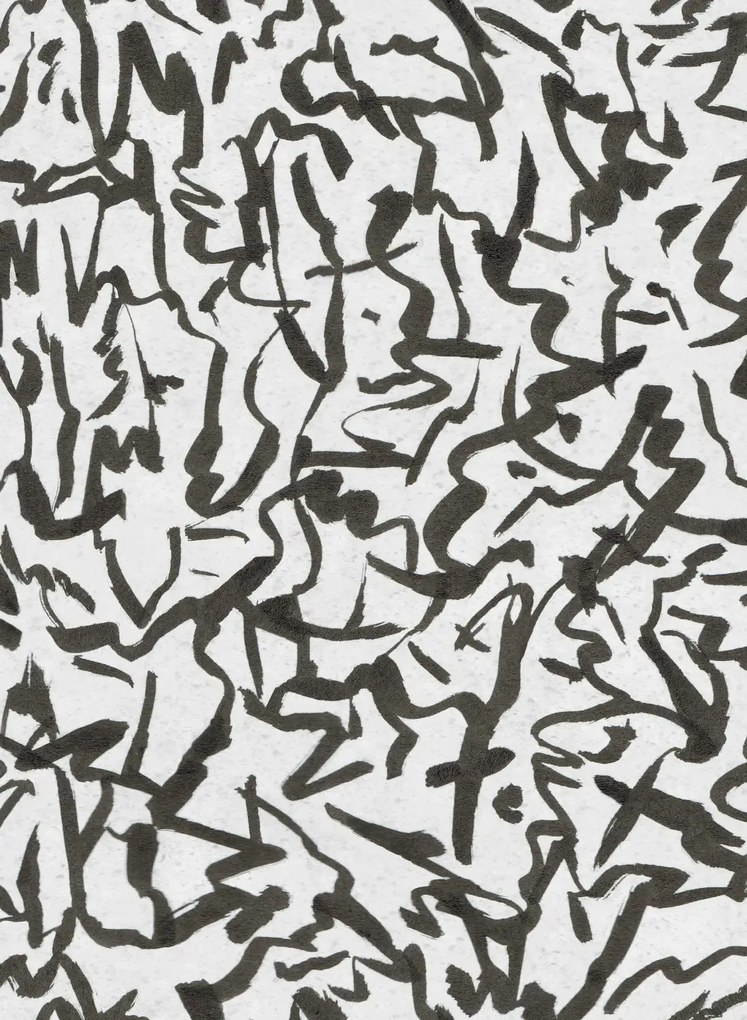 Coordonne Carta da parati Fluid - Coal