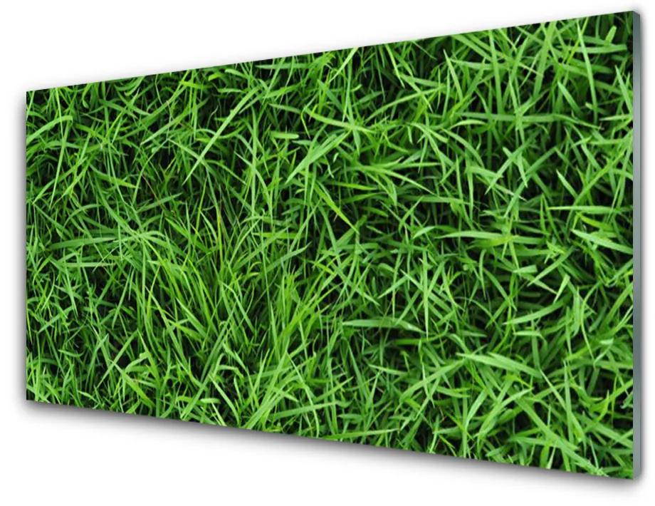 Quadro su vetro acrilico L'erba Il prato 100x50 cm