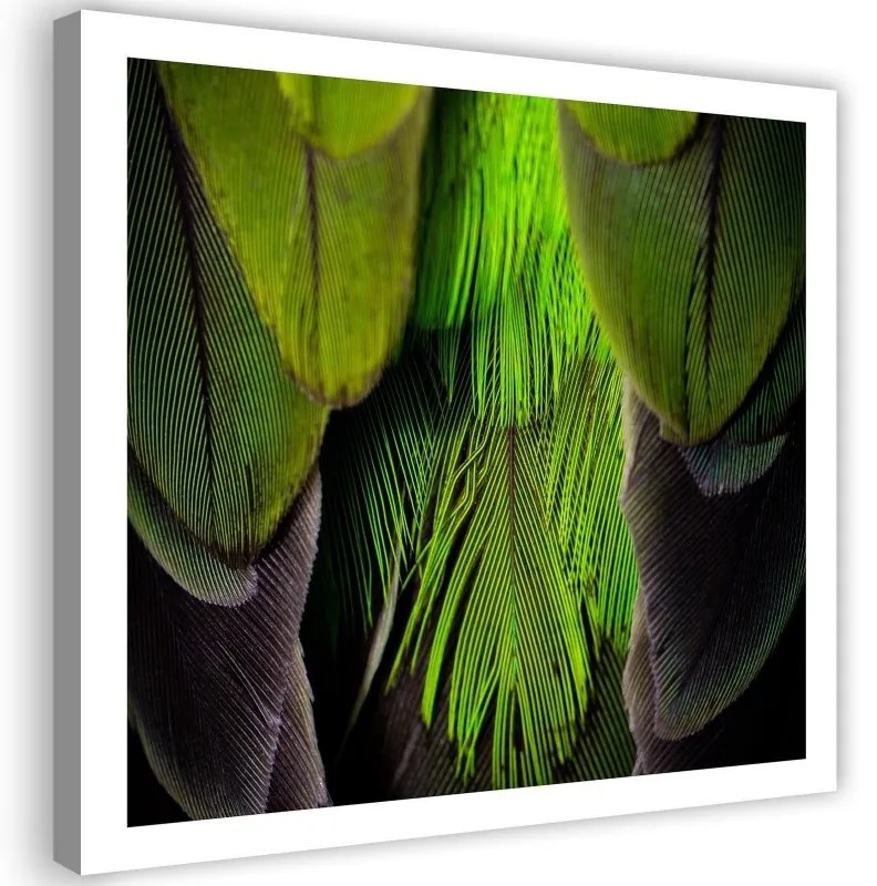 Quadro su tela, Piuma d'uccello verde  Dimensioni 40x40