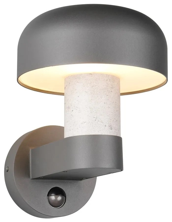 Illuminazione esterna con sensore di movimento da parete (altezza totale 24,5 cm) Fraser – Trio