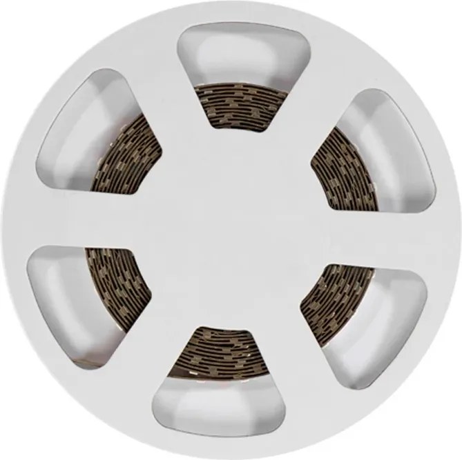 Striscia LED 24V 5W/m Alta Efficienza Professionale - IP20 - 5 metri