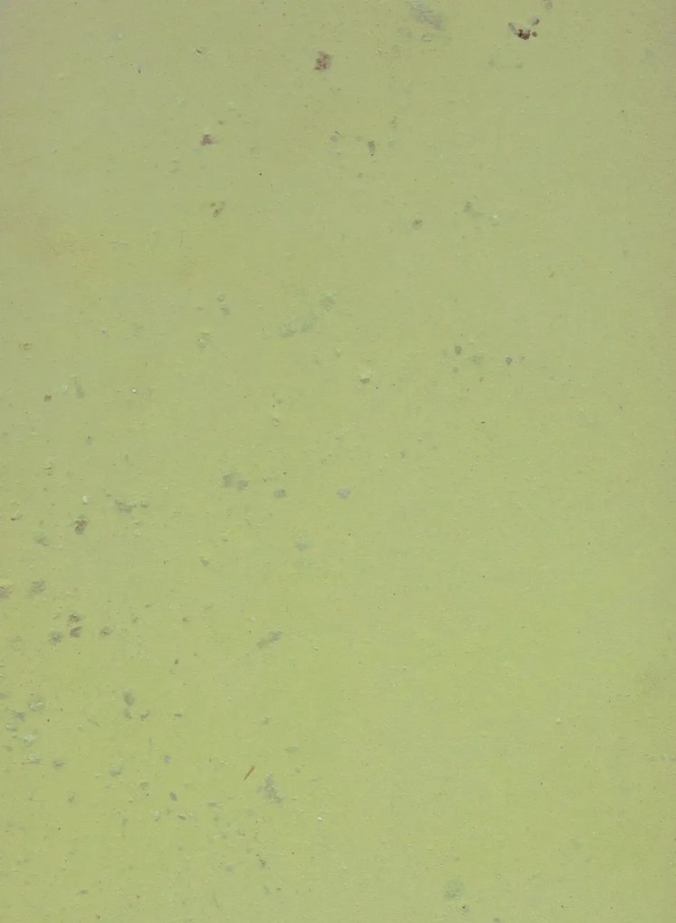 Terrastone Rustique floor - 15kg - 89 - Spring Green