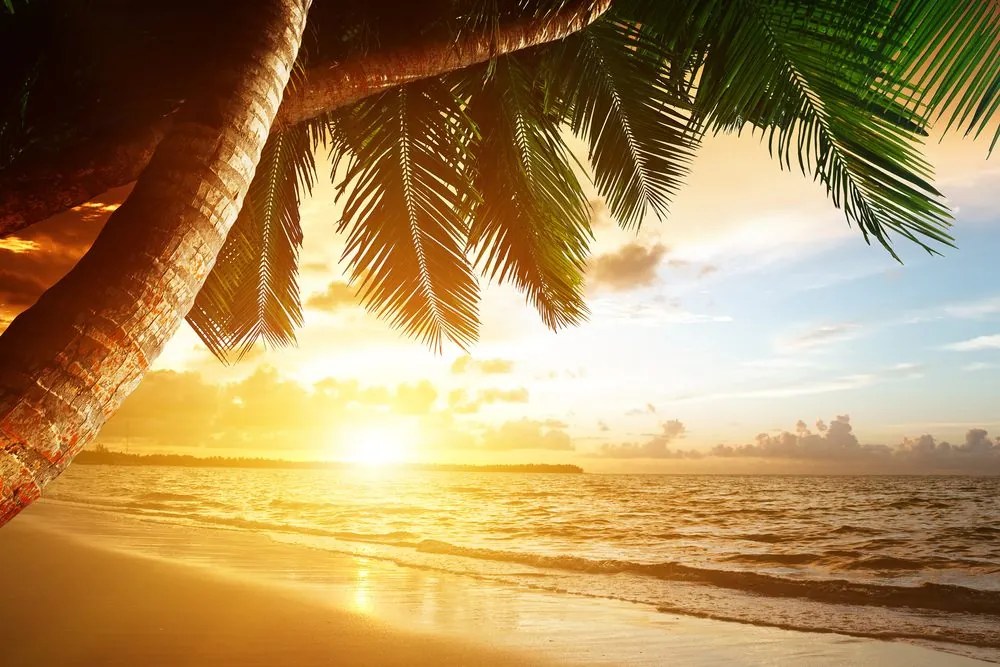 Quadro su tela – Alba sulla spiaggia caraibica
