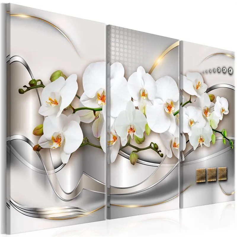 Quadro Blooming Orchids I