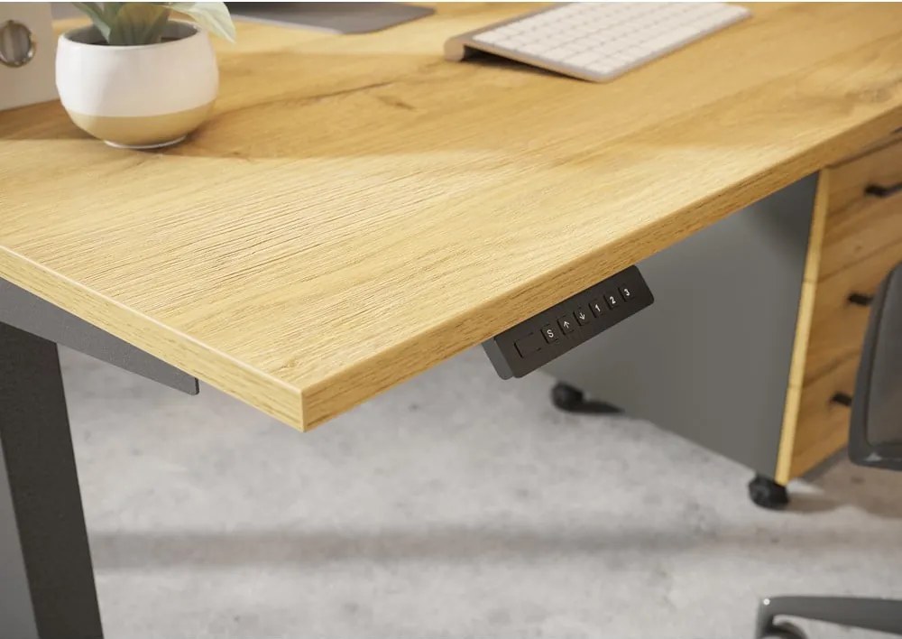 Scrivania regolabile elettricamente con piano effetto rovere 80x160 cm Agenda - Germania