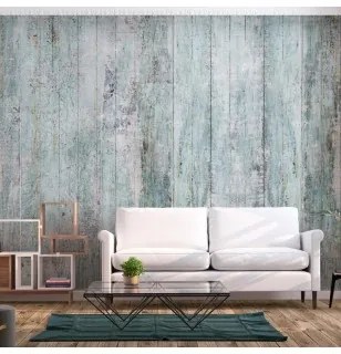 Carta da parati - Rustic Textures - First Variant Premium 450x315