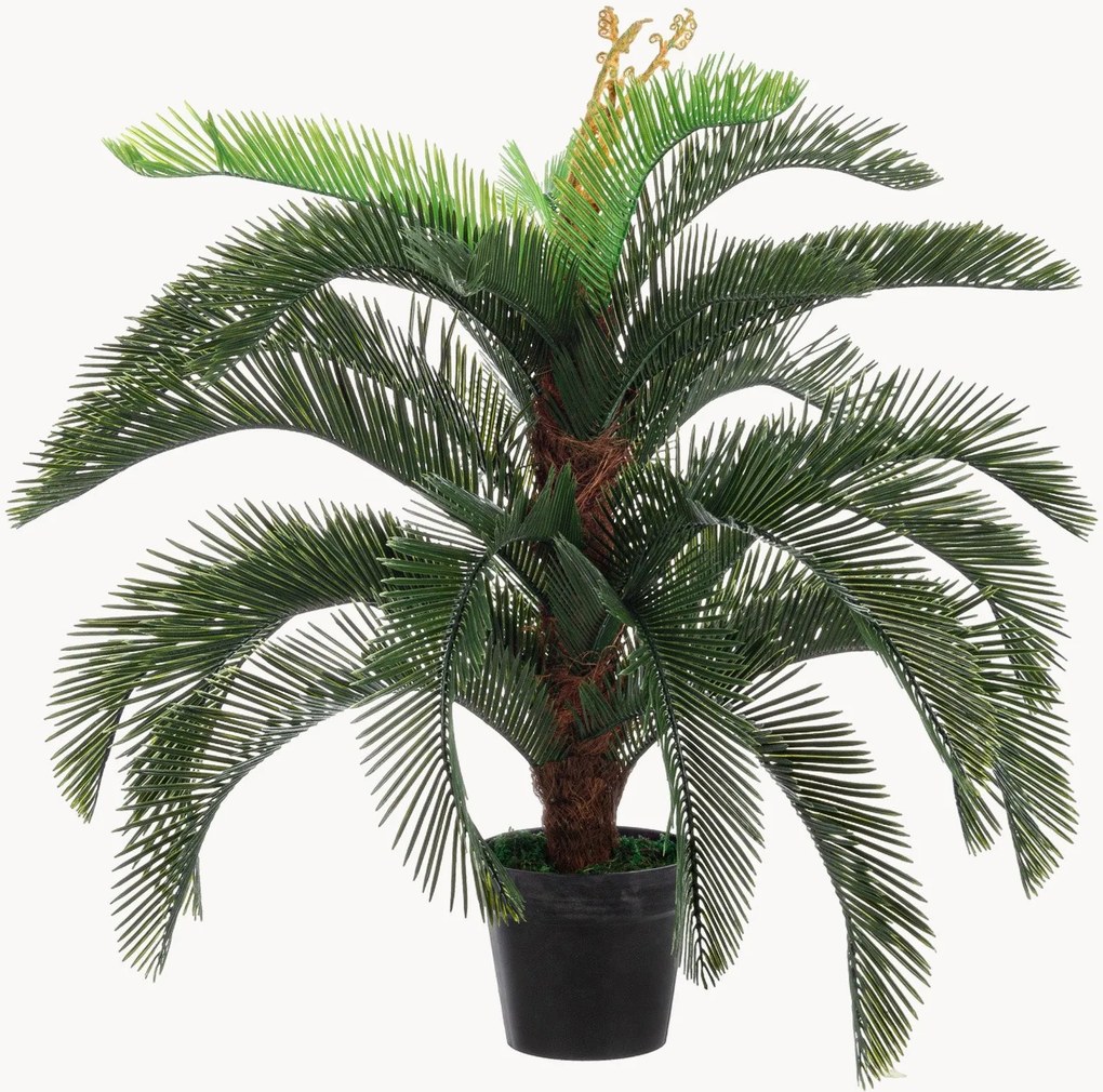Pianta artificiale Palma Cycas
