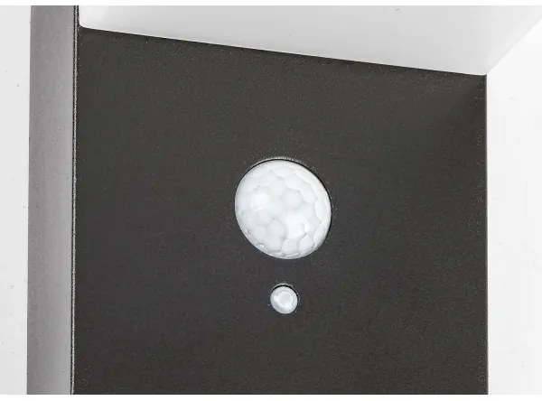 Rabalux 77009 - Luce solare a LED con sensore ZREBAR LED/6W/3,7V IP44