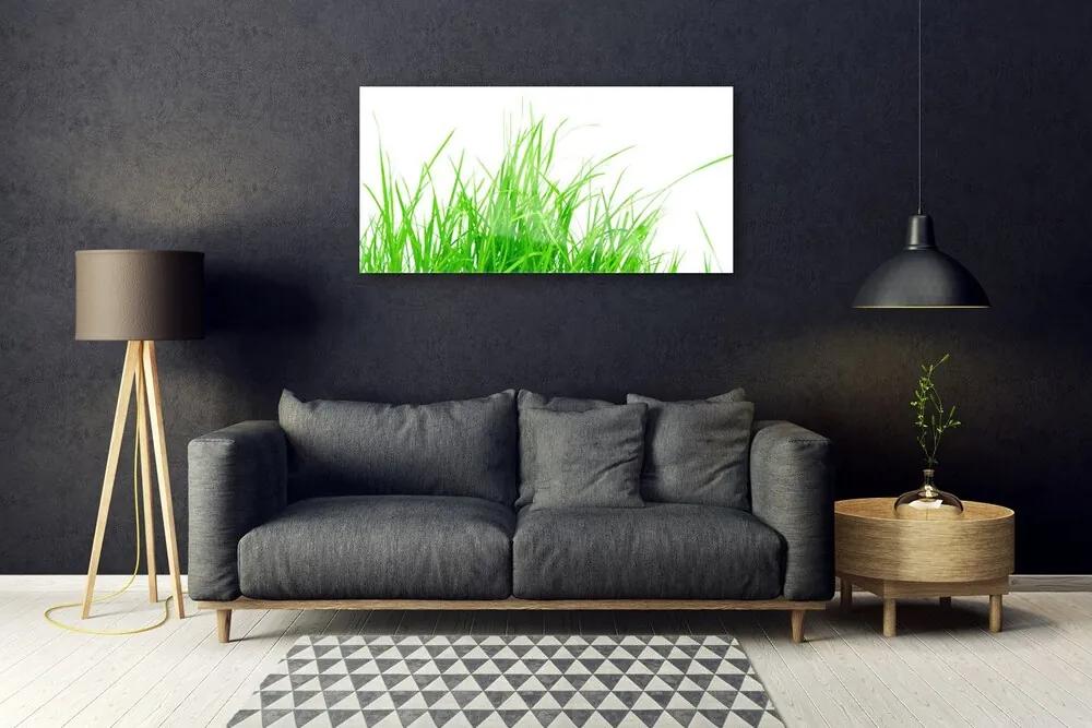Quadro vetro acrilico L'erba La pianta 100x50 cm