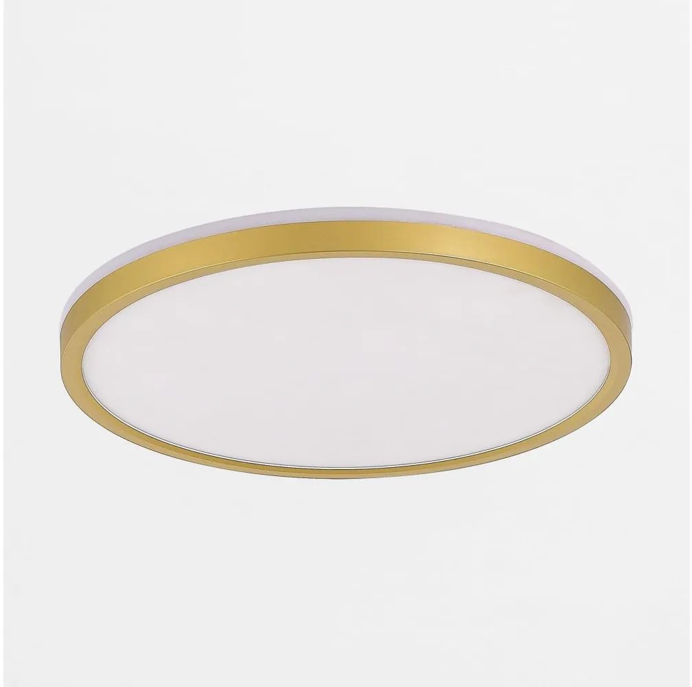 Zuma Line MS748500R-3-GD - Luce LED dimmerabile BOVE 49W/230V 3000/4000/5500K oro