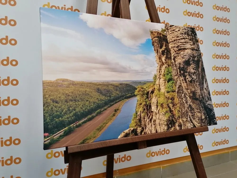Quadro su tela – Vista sul fiume e foresta