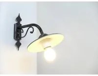 Lampada tulipano con piatto cm.20 1x100 watt -