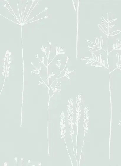 Gräser Tapete Stipa von Scion - Frost